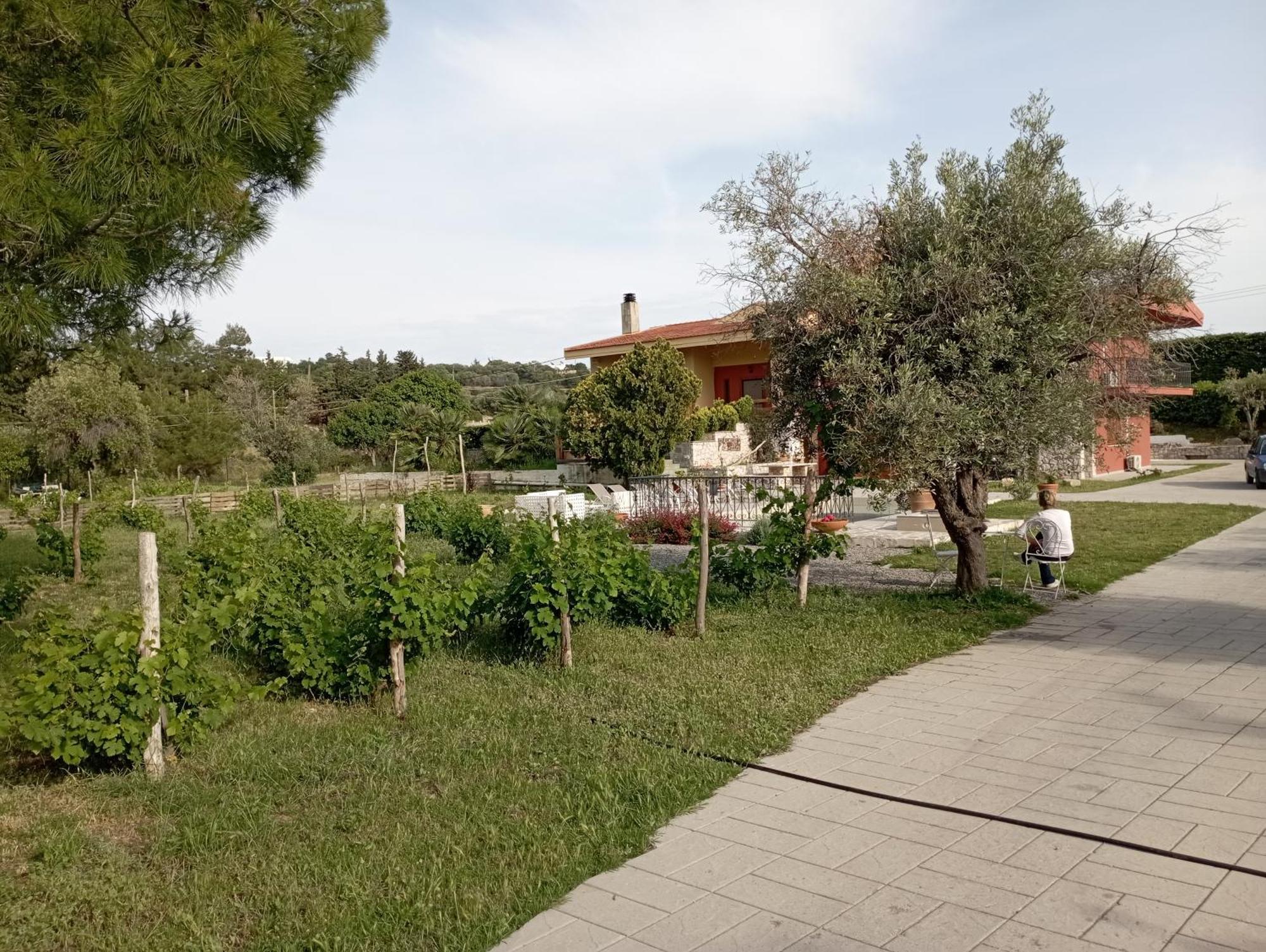 Emarmene Home With Private Pool Near Rhodes Town & Airport Koskinou  외부 사진